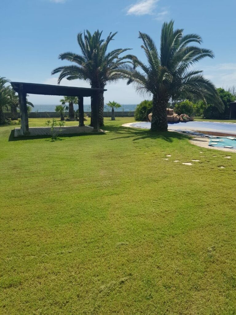 Garten