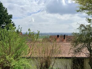IMG_6062