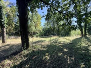 Bild1