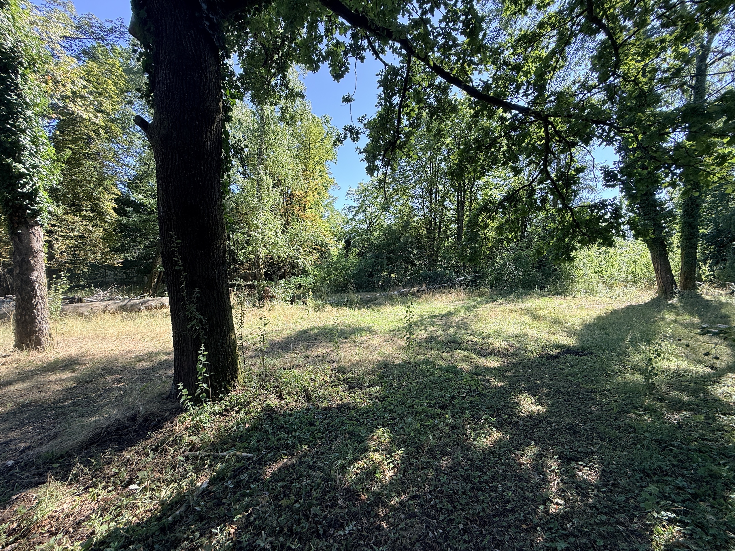 Bild1